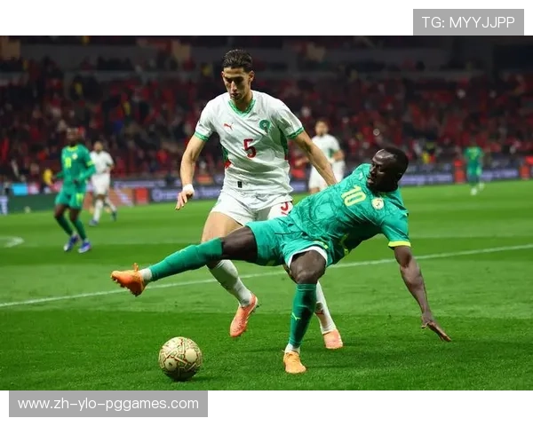 足球非洲杯激战绿茵荣耀之争